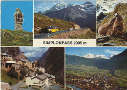 Simplonpass Brig Gondo  1966 Autobus Photo Et Flamme Marmotte - Simplon