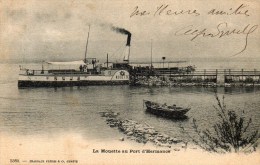 - SUISSE - La Mouette Au Port D'HERMANCE. - Scan Verso - - Hermance