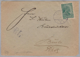 Liechtenstein 1919-04-03 Vaduz Grenzrayon RL Brief Nach Buchs SG - Covers & Documents