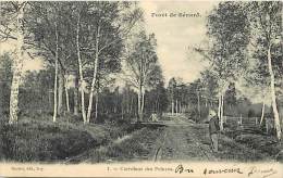 Depts Divers- Essonne - Ref CC06 - Foret De Senard - Foret De Senart - Carrefour Des Princes - Carte Bon Etat - - Sénart