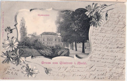 Gruss Aus GÜSTROW Mecklenburg Gymnasium Jugendstil Passepartout 20.6.1904 Gelaufen - Guestrow