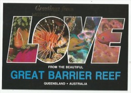 AUSTRALIA Queensland Great Barrier Reef MISSION BEACH Clownfish Lionfish Moral Eel Anthia Soft Coral 1992 - Great Barrier Reef