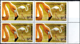 BIRDS-FLAMINGOS-AFGHANISTAN-2000-BLOCK OF 4-MNH A6-426 - Flamencos