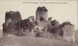 D46 LOT  Château De Roussillon - Otros Municipios
