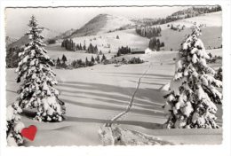 26994-LE-ALLEMAGNE-Skihutte " Hormoos-Alpe " (1290 M)-Ueber Steibis Im Allgau - Oberstaufen