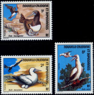 BIRDS-OCEAN BIRDS-NEW CALEDONIA-1976-SET OF 3-MNH-A6-439 - Flamingos