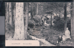 Stavelot - Un Sous Bois - Andere & Zonder Classificatie