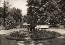 Bad Lausick - S/w Vogelbrunnen Im Kurpark - Bad Lausick