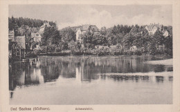 BAD SACHSA (SÜDHARZ) / SCHMELZTEICH - Bad Sachsa