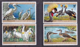 1974 SENEGAL - Birds 4v., Vogels, Oiseaux Du Parc Djoudj Yv 134/37 Michel 543/46  MNH - Albatros & Stormvogels