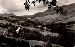 BOGEVE : Vue Générale Et Le MOnt-Forcha - Veyrier