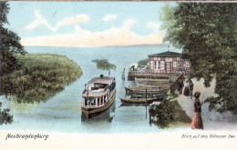 NEUBRANDENBURG Blick Auf Den Tollense See Belebt Motor Schiff Um 1905 Ungeteilte Rückseite - Neubrandenburg