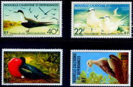 BIRDS-FRIGATE BIRD & SOOTY TERNS-NEW CALEDONIA-1977 & 1978-MNH A6-441 - Albatros & Stormvogels