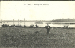 Villars Etang Des Glareins Paysan Gardant Ses Vaches - Villars-les-Dombes