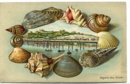 POST CARD ENGLAND KENT REGATTA DAY DOVER 1914  Seashells  Reliefs - Dover