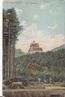 1900 CIRCA - ZSCHOPAUTHAL - BURG KRIEBSTEIN - Zschopau