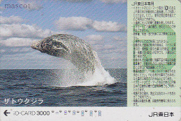 Carte Prépayée Japon - ANIMAL - BALEINE - WHALE  Japan Prepaid JR IO Prepaid Card - WAL Karte - 270 - Delfines