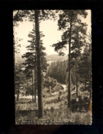 Près De MONTFAUCON EN VELAY Haute Loire 43 : Vallée De La Dunière  1955 - Montfaucon En Velay