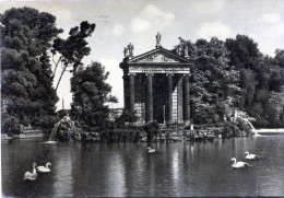 Roma. Villa Borghese. Il Giardino Del Lago - Parques & Jardines