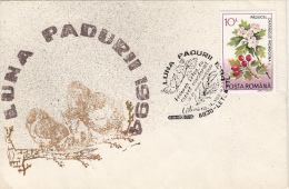 17685- MEDICINAL PLANTS, SEA BUCKTHORN, FOREST'S MONTH, SPECIAL COVER, 1994, ROMANIA - Plantes Médicinales