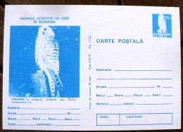 ROUMANIE Oiseaux, Rapaces, Birds, Vögel, Chouettes Et Hiboux, Faucon. Carte Postale Emise En 1977 (7a) - Hiboux & Chouettes