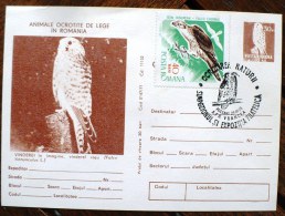 ROUMANIE Oiseaux, Rapaces, Birds, Vögel, Chouettes Et Hiboux, Carte Postale Emise En 1977 Ayant Voyagée - Owls