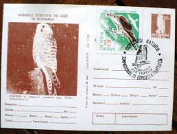 ROUMANIE Oiseaux, Rapaces, Birds, Vögel, Chouettes Et Hiboux, Carte Postale Emise En 1977 Ayant Voyagée - Hiboux & Chouettes
