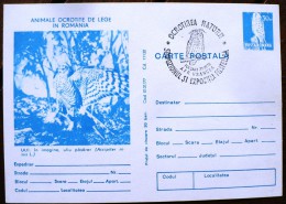 ROUMANIE Oiseaux, Rapaces, Birds, Vögel, Chouettes Et Hiboux. Aigle Carte Postale Emise En 1977 (3) - Eulenvögel