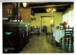 81 - Castelnau De Montmiral - Hôtel Restaurant Des Arcades - Editeur: Raynaud N° 81140.1 - Castelnau De Montmirail