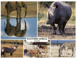 (983) Rhinoceros - Rinoceronte
