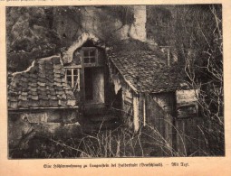 Original Zeitungsausschnitt - 1911 -  Höhlenwohnung In Langenstein B. Halberstadt !!! - Halberstadt