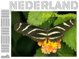 Nederland  2014-2   Butterfly Zebra Longwing Vlinder      Postfris/mnh/neuf - Ongebruikt