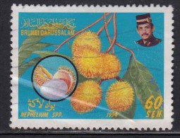 Brunei Used 1994, Fruits Series, Fruit Plant.  As Scan - Brunei (1984-...)