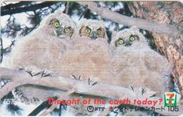 BIRDS - JAPAN - H1723 - OWL - 110-011 - Owls