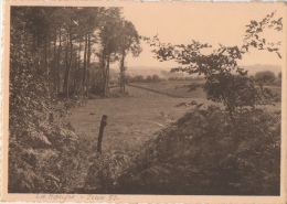 Flobecq. La Houppe. Panorama Vers Flobecq Vu Du Bois. - Flobecq - Vlösberg