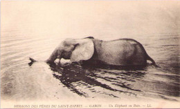 Missions Des Pères Du Saint-Esprit - GABON - Un Eléphant Au Bain - Gabun