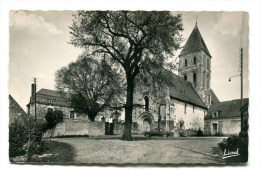 CPsm 49  : ST GEORGES DU BOIS Place De L'église     A  VOIR  !!!!!!! - Saint Georges Sur Loire