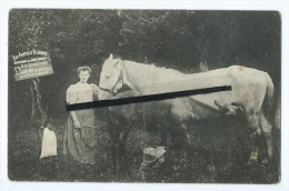 CPA Abîmée - Baby  Phosphate   - L.Carton - Beauval Inscrit Sur Panneau - Cheval,chevaux - Beauval