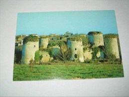 DEUX-SEVRES  - ECHIRE - Ruines Du Château Coudray-Salbart - Non Classés