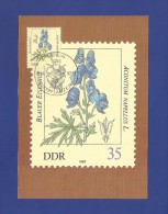 DDR 1982  Mi.Nr. 2695 , Blauer Eisenhut - Giftpflanzen - Maximumkarte - 06.04.1982 - Giftige Pflanzen