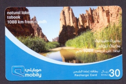 Saudi Arabia Telephone Card Used   The Value 30SR ( Fixed Price Or Best Offer ) - Saudi-Arabien