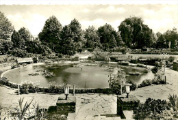 Zweibruecken. Rosengarten. - Zweibruecken