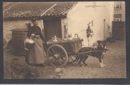 9509-LAITIERE FLAMANDE-VENDITRICE DI LATTE-FP - Vendedores Ambulantes