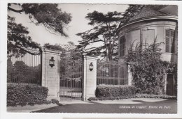Delcampe - CP CARTE POSTALE SUISSE HELVETIA VAUD ......CHATEAU DE COPPET - Coppet