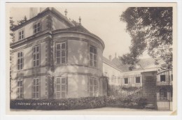 CP CARTE POSTALE SUISSE HELVETIA VAUD ......CHATEAU DE COPPET - Coppet