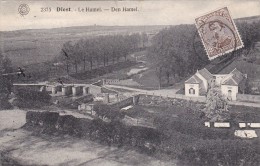 Diest - Den Hamel - Diest