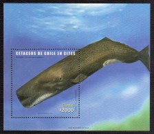 FF-00114 - 2002 - Chile - Ballenas - Sc. 1415 HB - MNH - Baleines