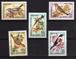 FF-00273 - 1981 - Rusia - Sc 4972-76 - MNH - Sparrows