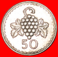 * CLUSTER Of GRAPE★ CYPRUS 50 MILS 1981!LOW START★NO RESERVE! - Chipre