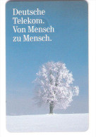 Germany - A 19/97 - Snow - Winter Tree - A + AD-Reeks :  Advertenties Van D. Telekom AG